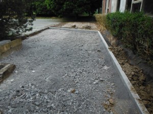 DSCF9356