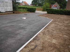 DSCF9367