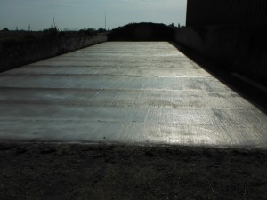 DSCF9549
