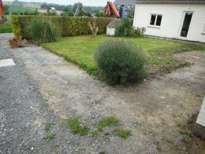 DSCF9424