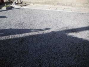 DSCF9773