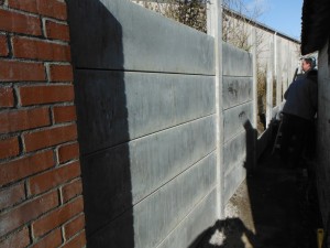 DSCF9777