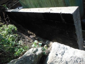 DSCF9873