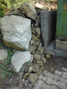 DSCF9879