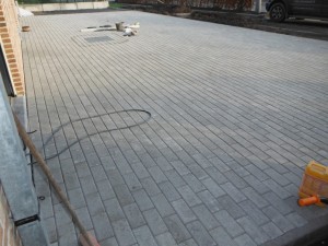 DSCF0219