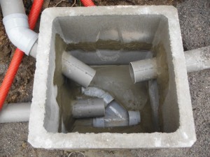 DSCF0561