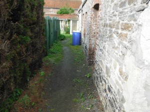 DSCF0590