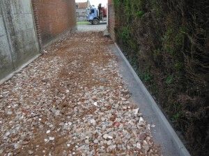DSCF0616