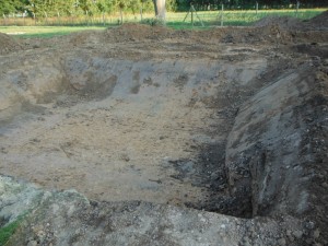 DSCF0790